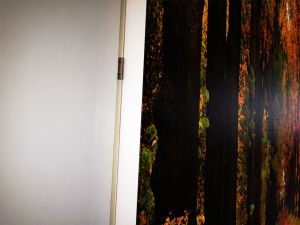 Lightbox Lightbox